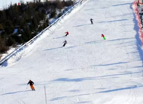 第二屆中國大眾滑雪技術大獎賽